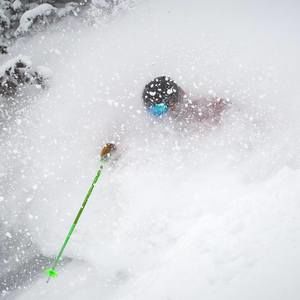 Meet your Posher, Reed